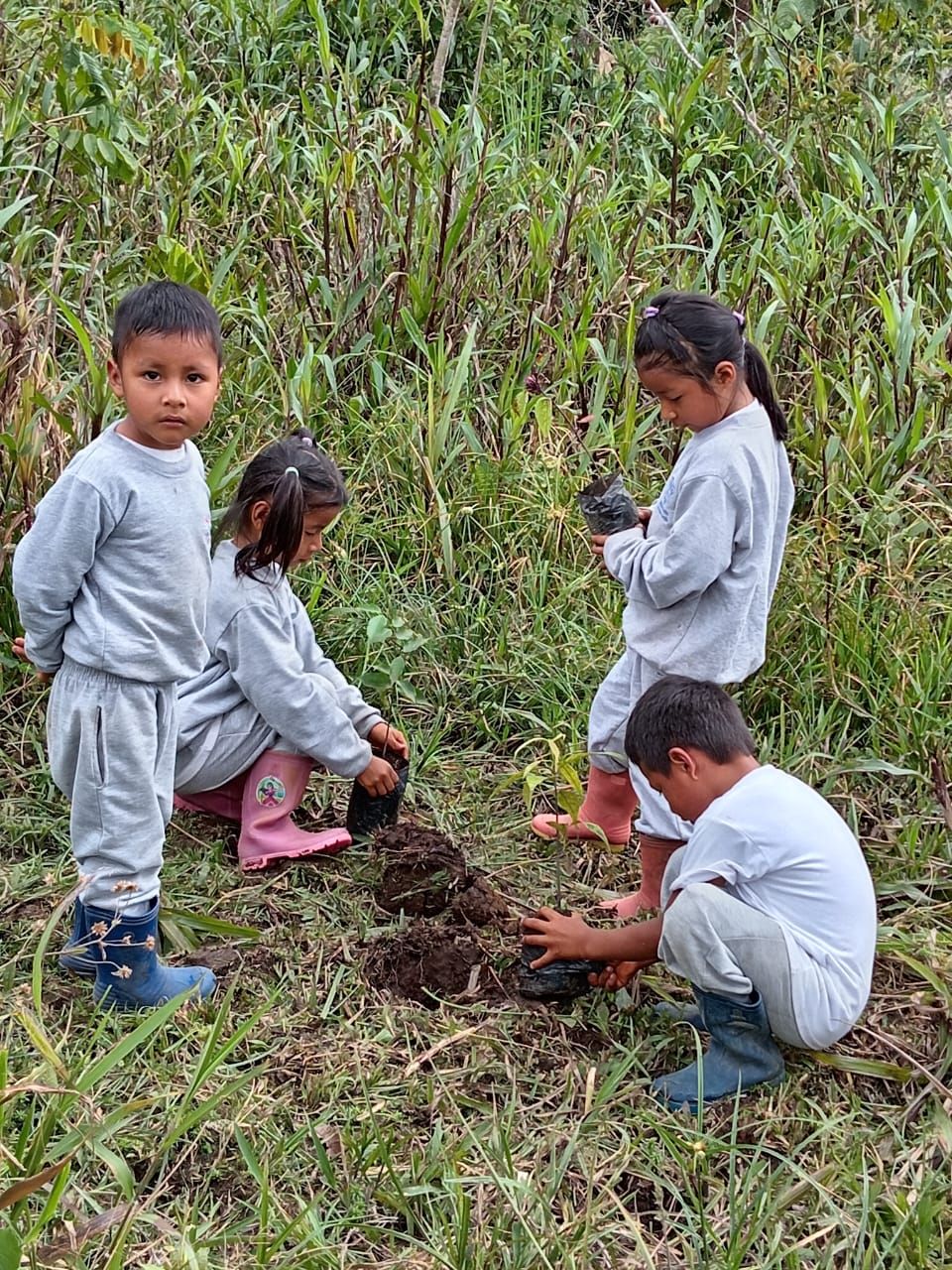 Ecuador regenwoud school