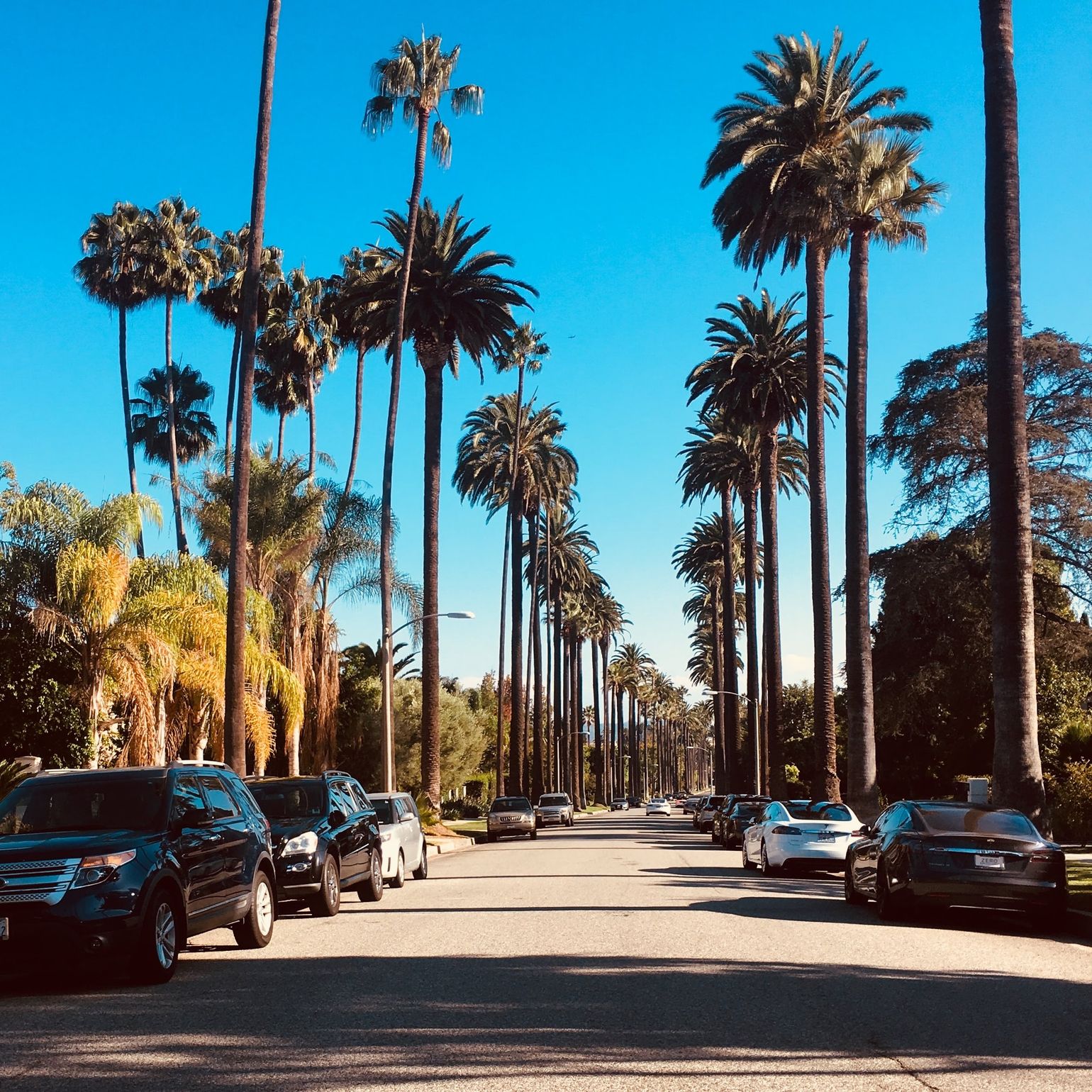 L.A. Citytour met de fiets