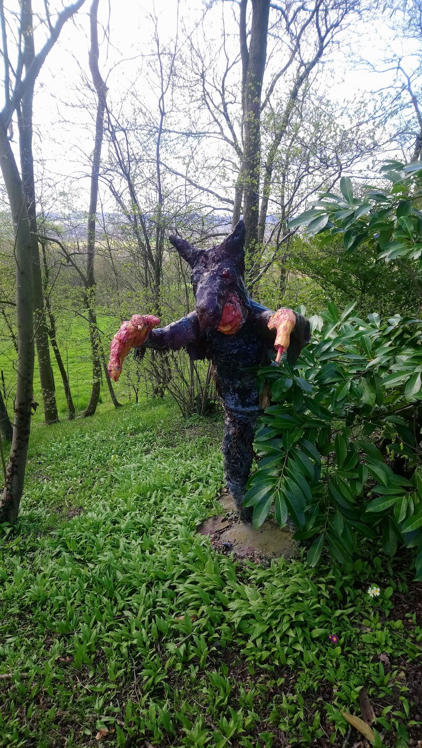 Campervan Pays des Collines Belgie