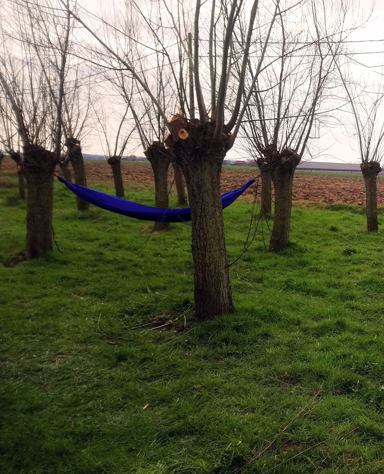 campervan westhoek belgie