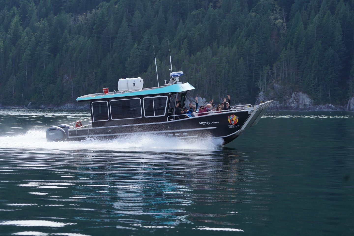 Overdekte boot Whale Watching