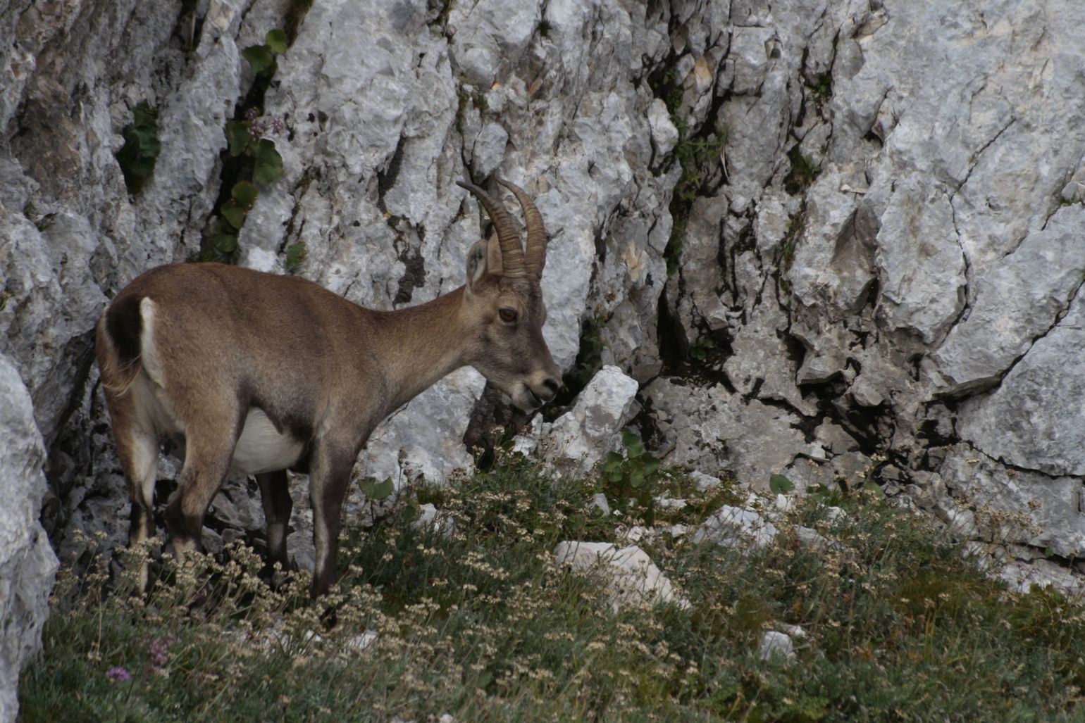 Karstgebergte - met camper of campervan op roadtrip in Slovenië