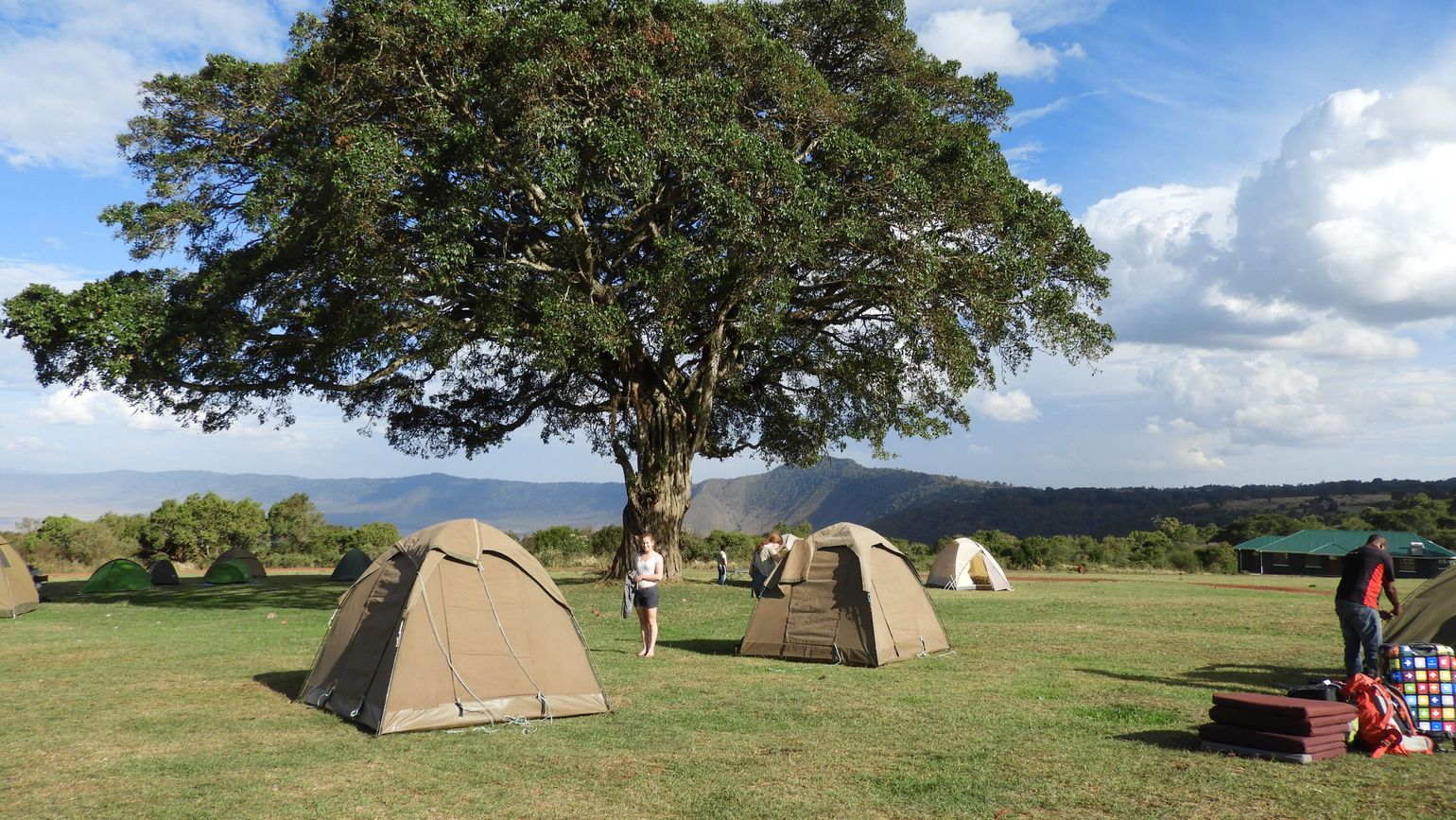 budgetsafari tanzania