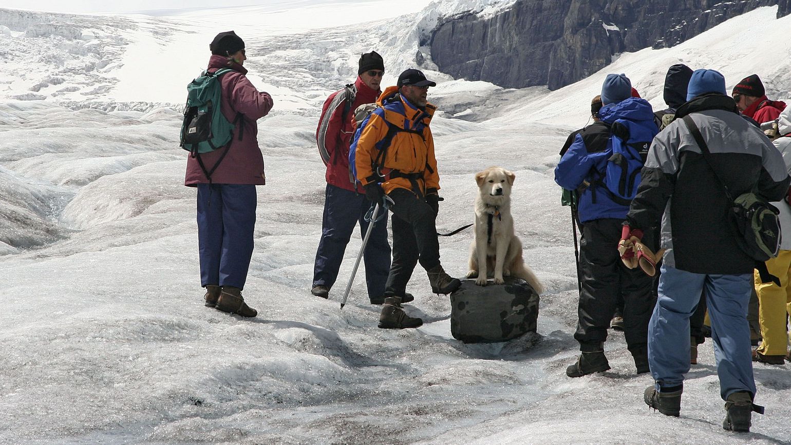 Gids Athabasca Glacier, Jasper National Park