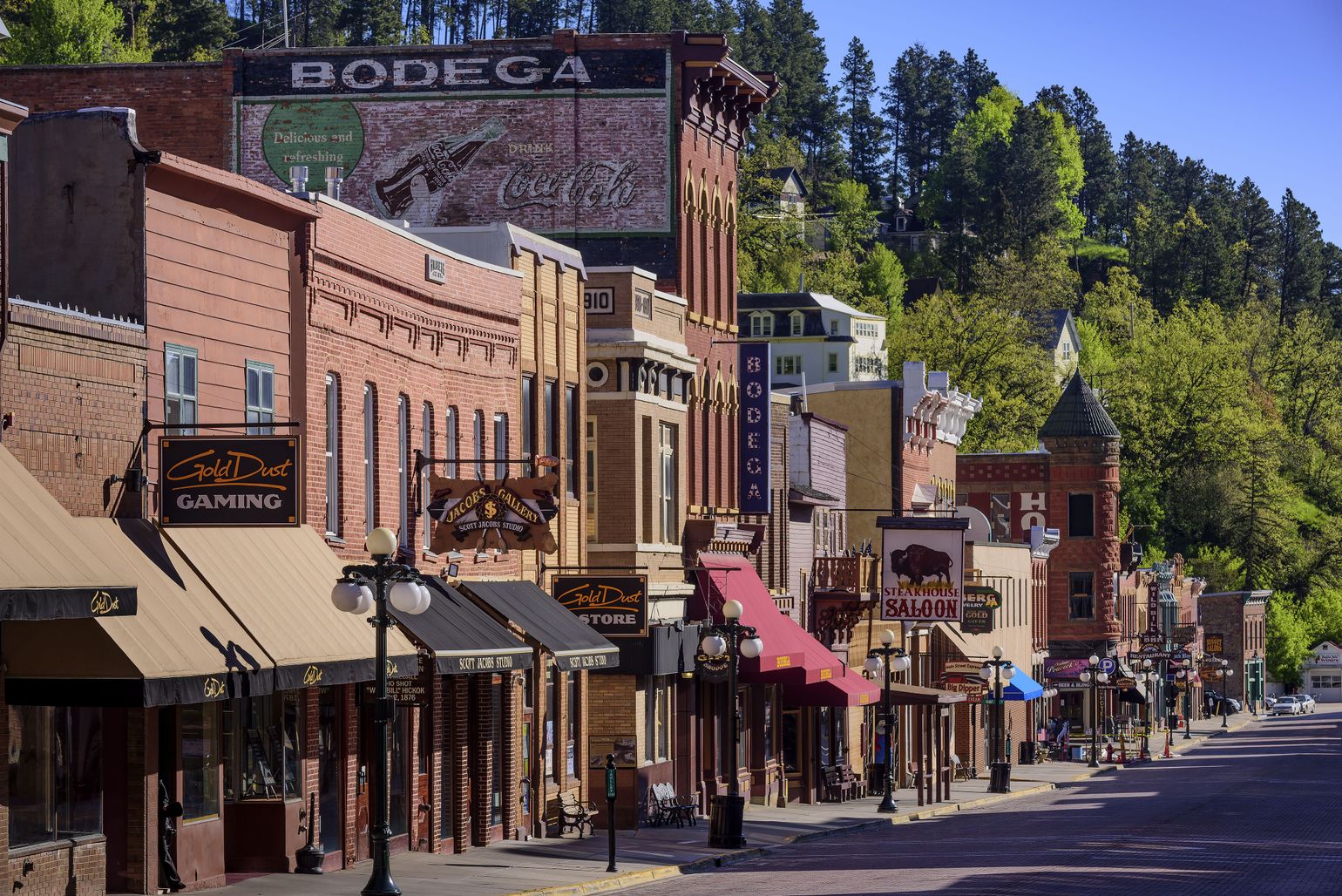 deadwood
