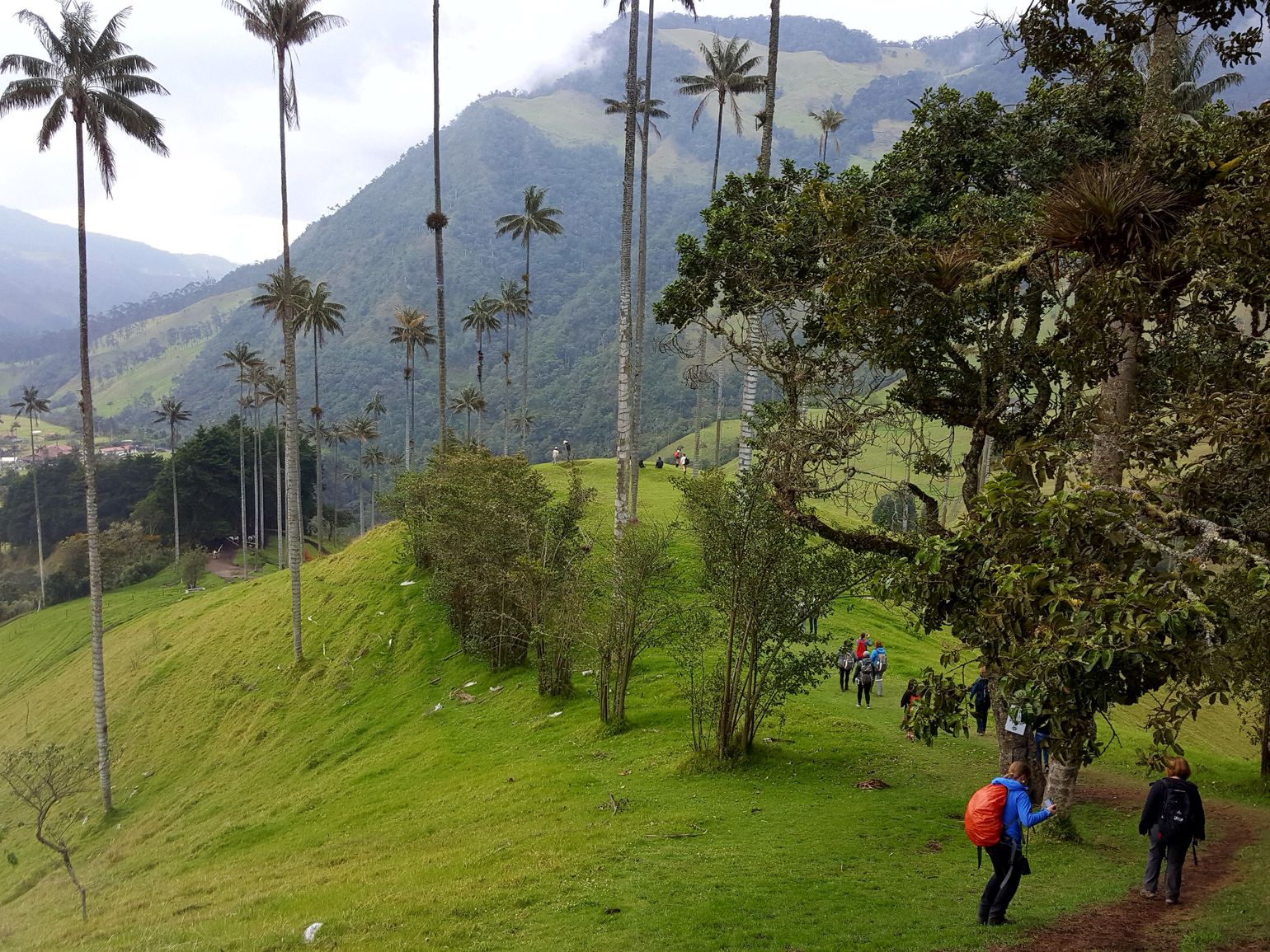 Cocora, Colombia