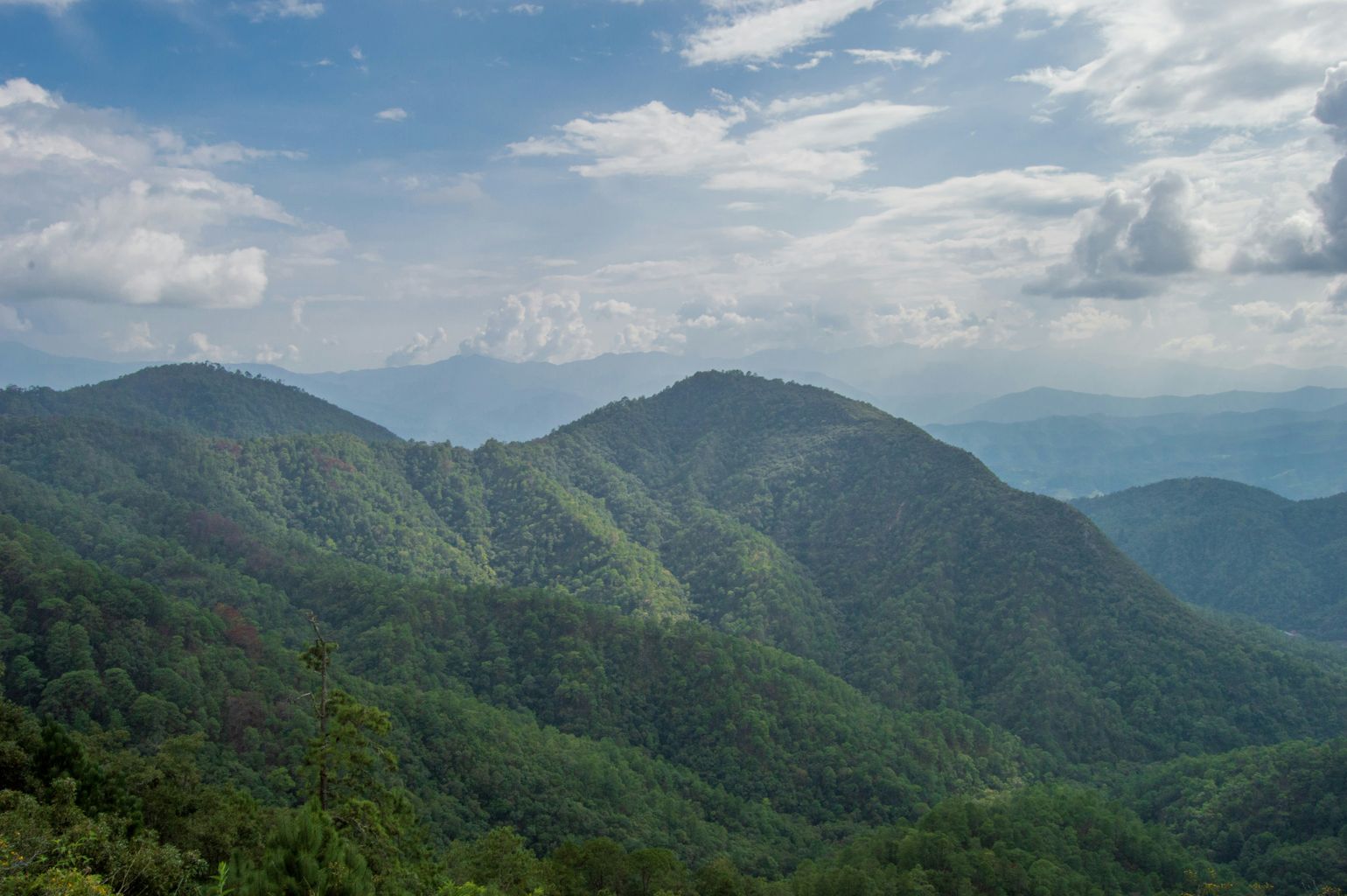 Sierra Norte