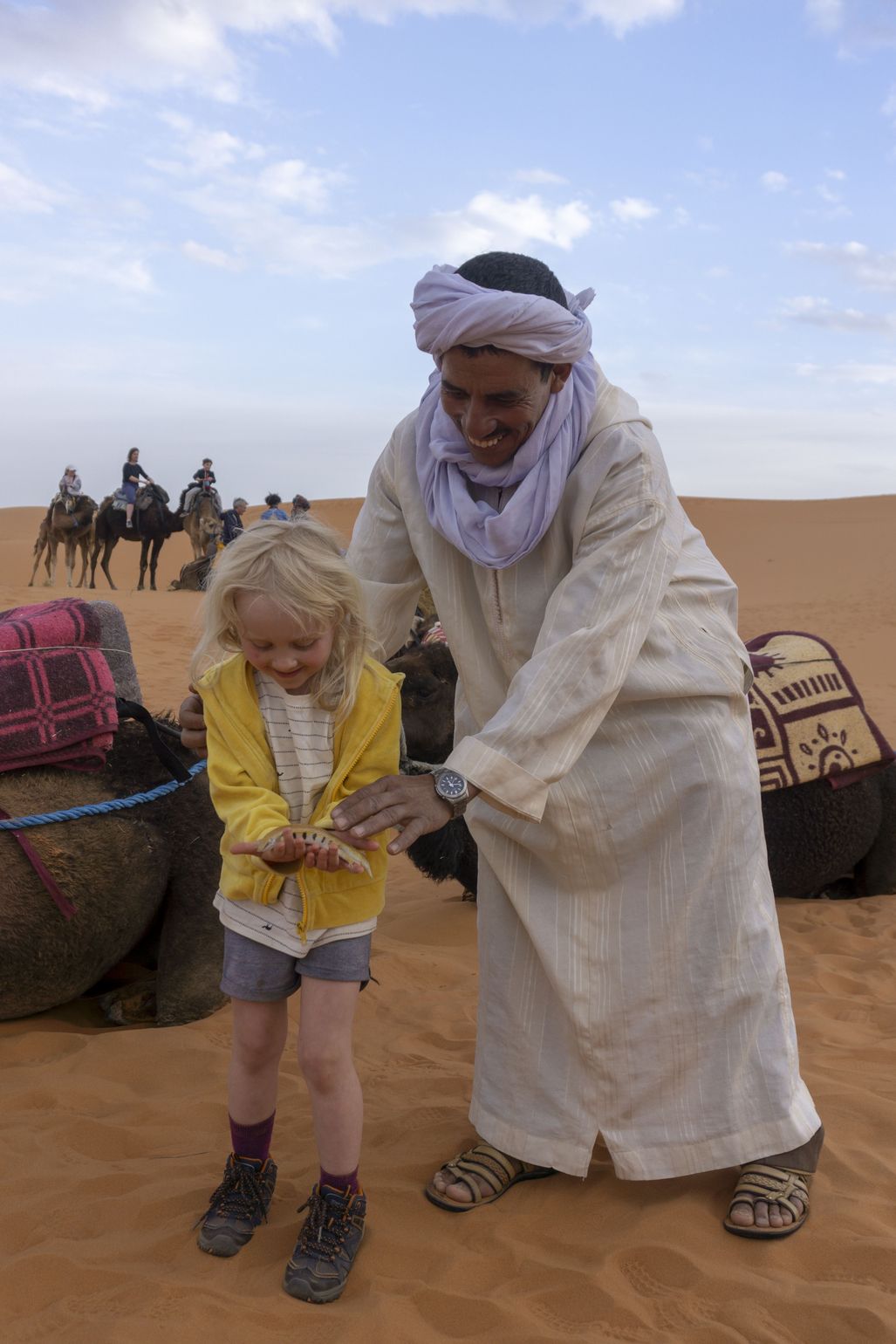 woestijn bij Merzouga in Marokko