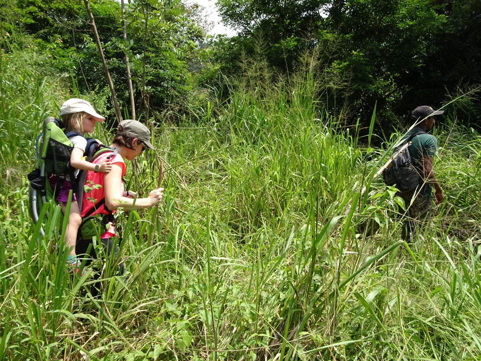wandelen trekking belihuloya sri lanka