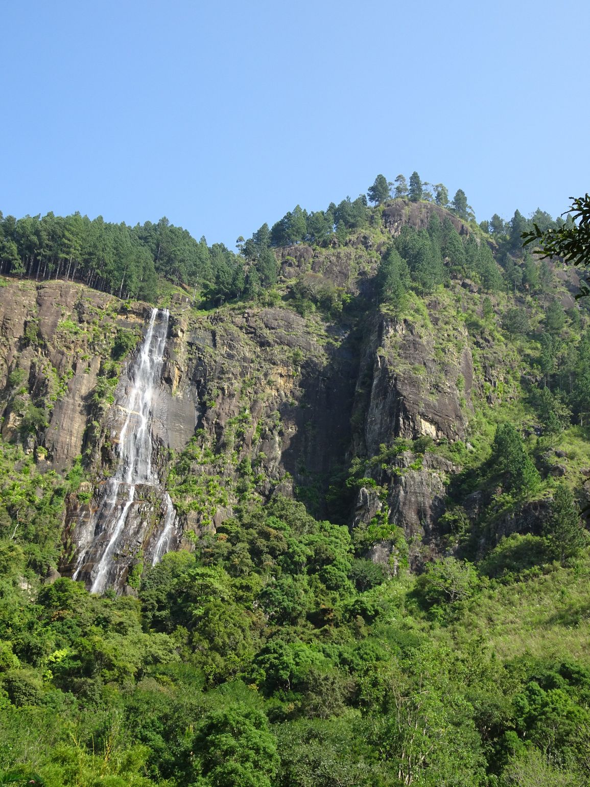 Wateval sri lanka jungle belihuloya