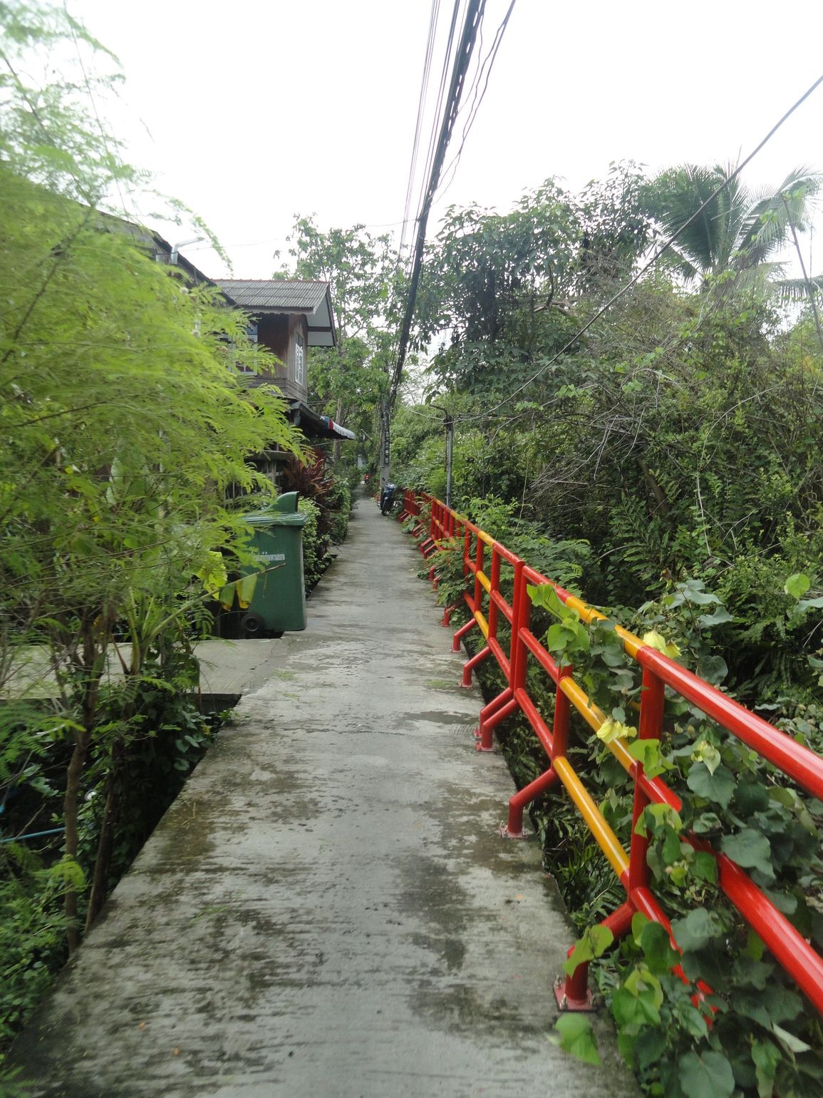 Fietsen op Bang Krachao in Bangkok