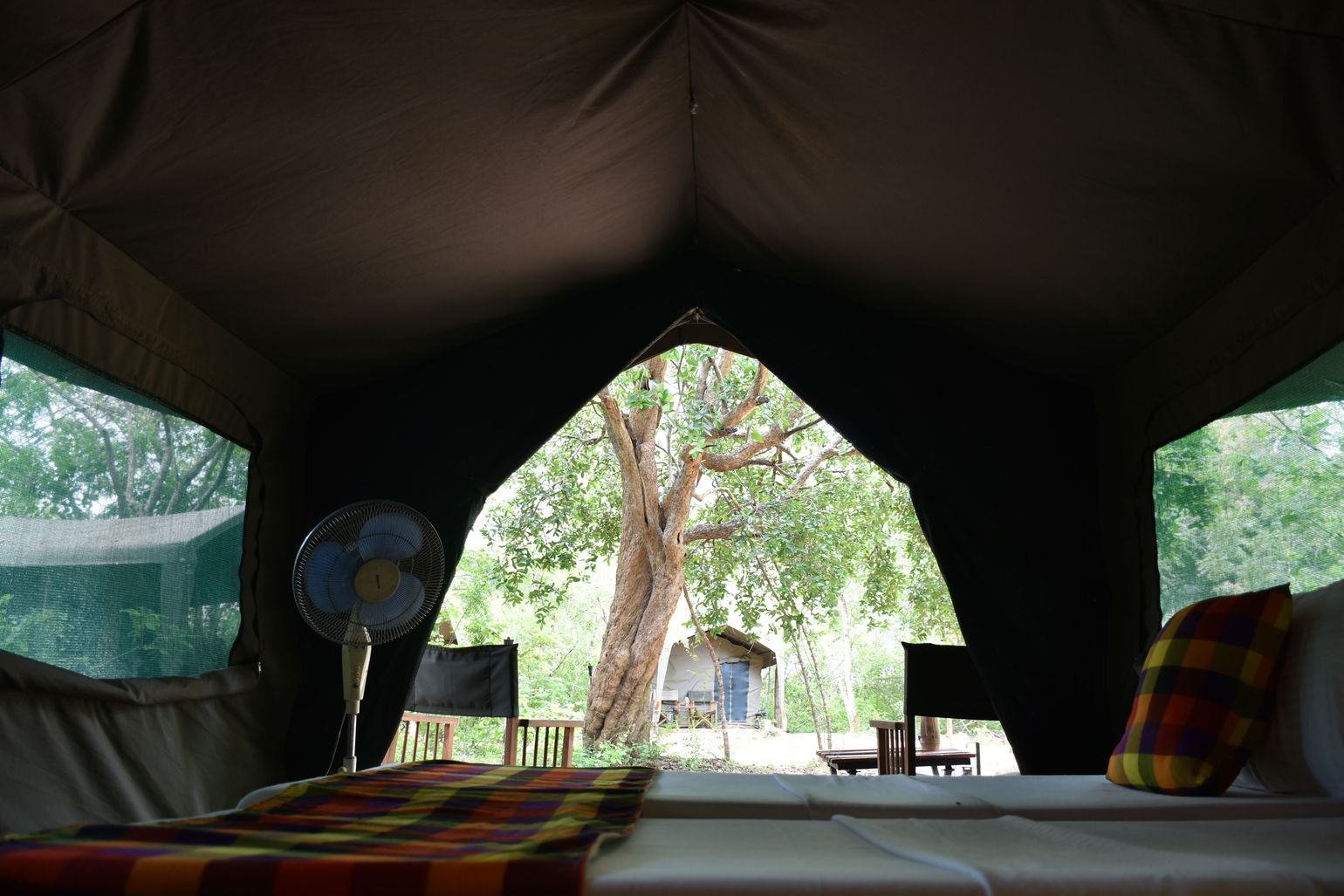 Tentenkamp safari sri lanka wilpattu tent binnenkant