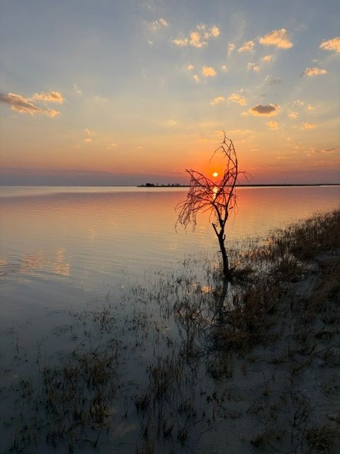 natuur