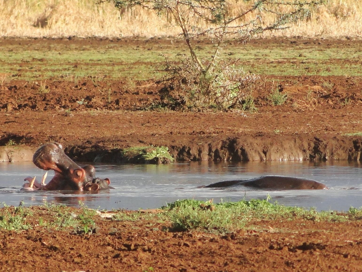 Lake Manyara National Park Tanzania