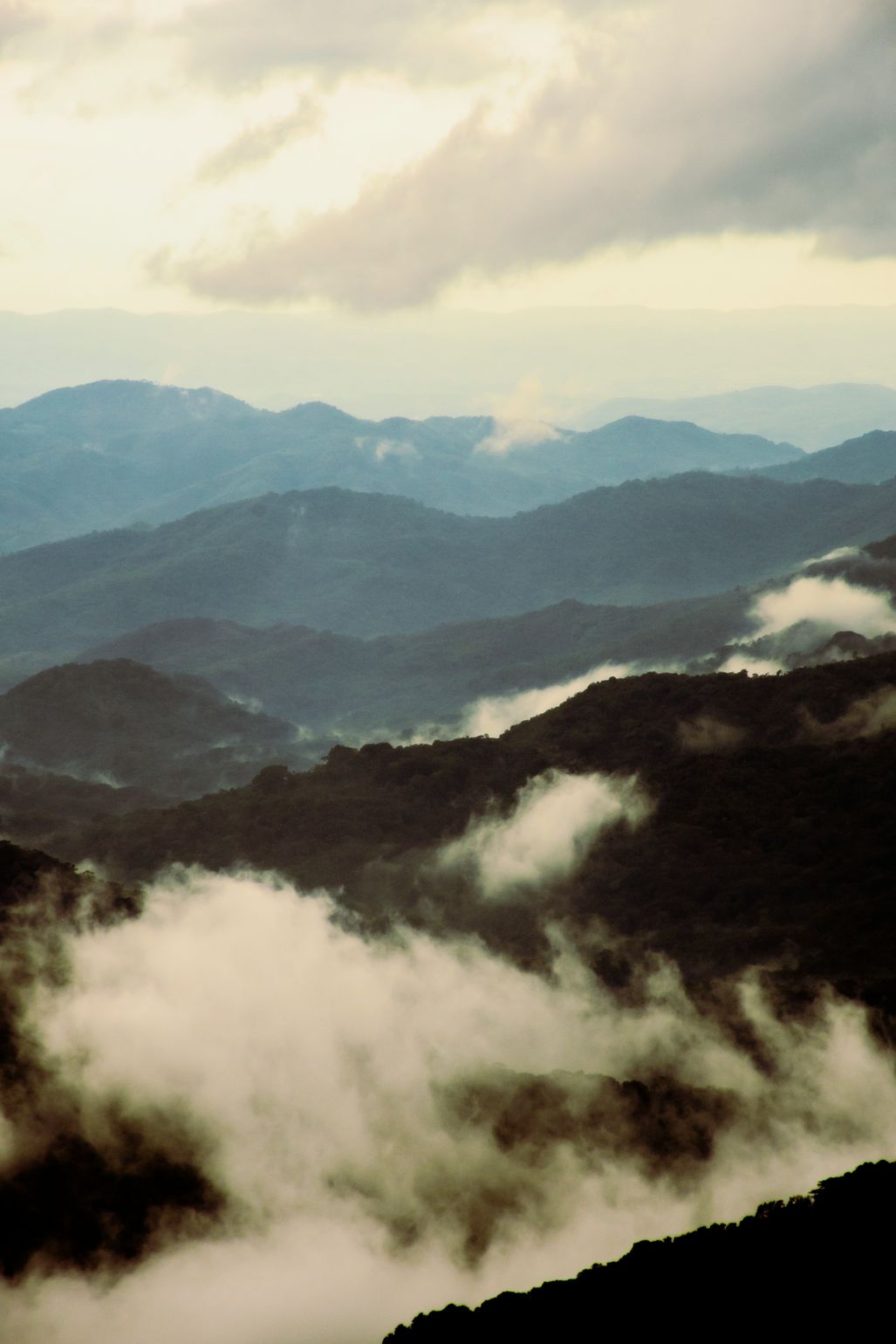 Sierra Norte