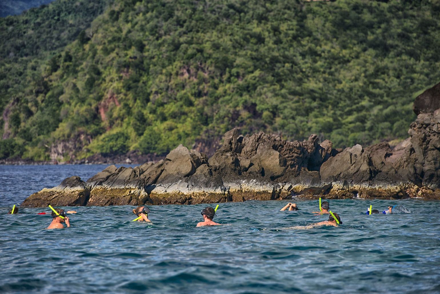 Guadeloupe reserve cousteau