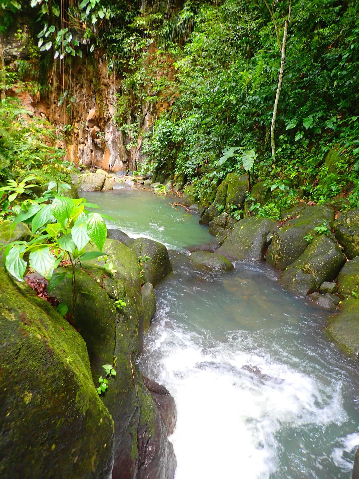 Guadeloupe canyoning