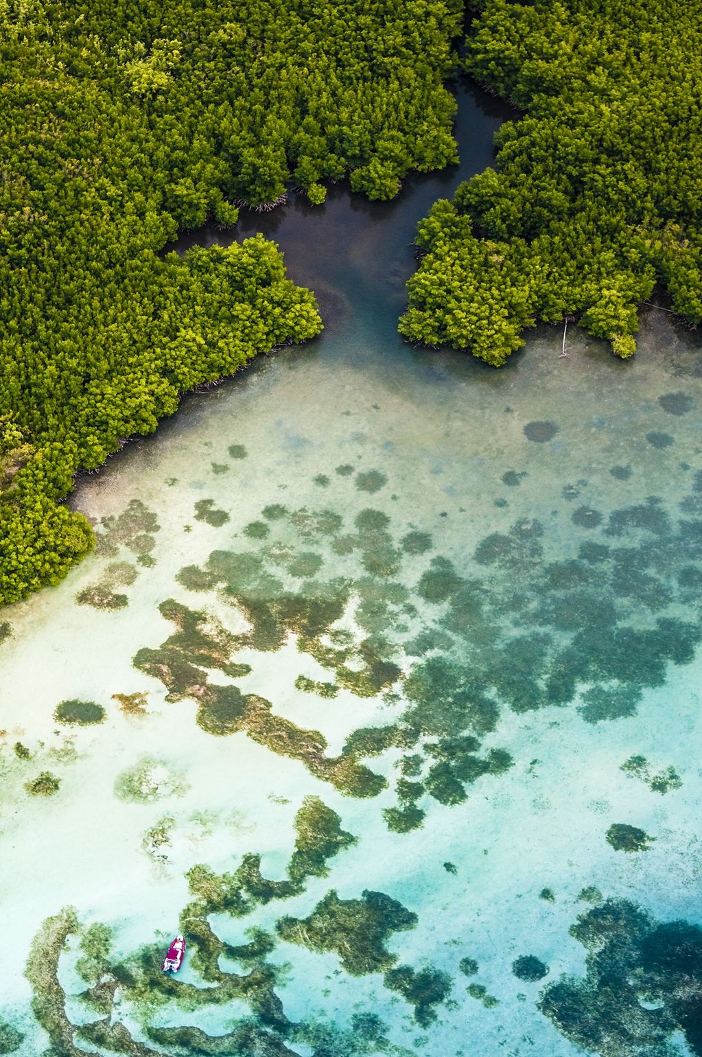 Guadeloupe Grand cul de sac marin