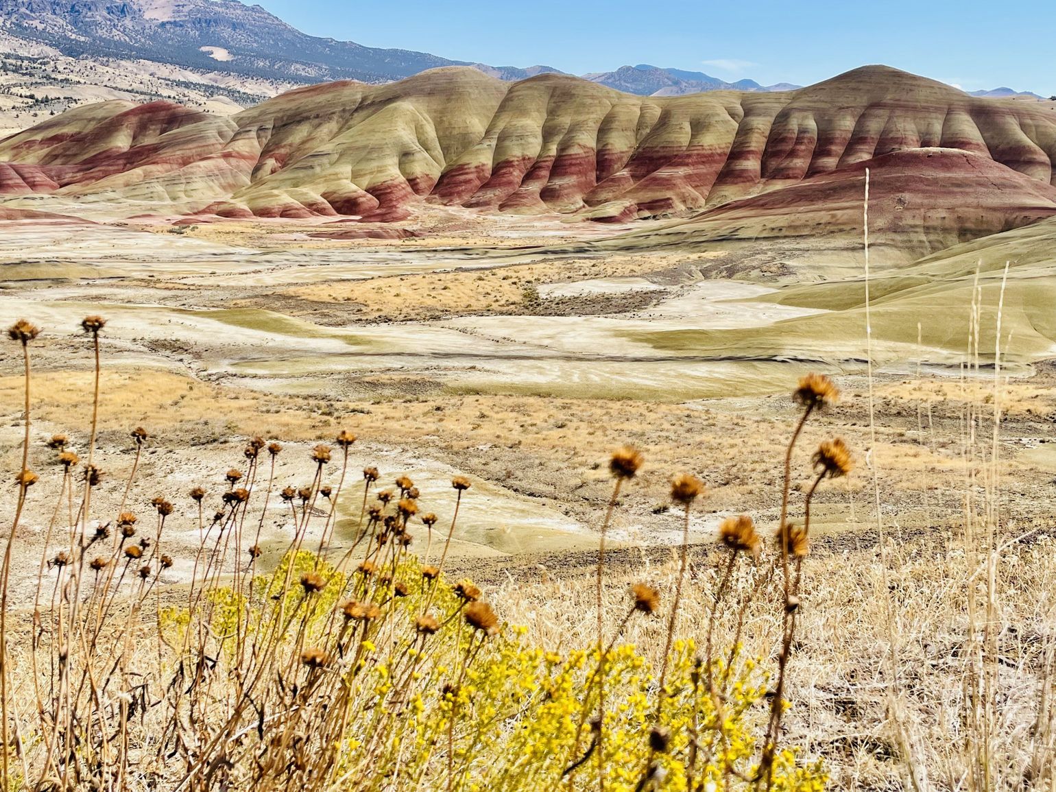 landschap ranch