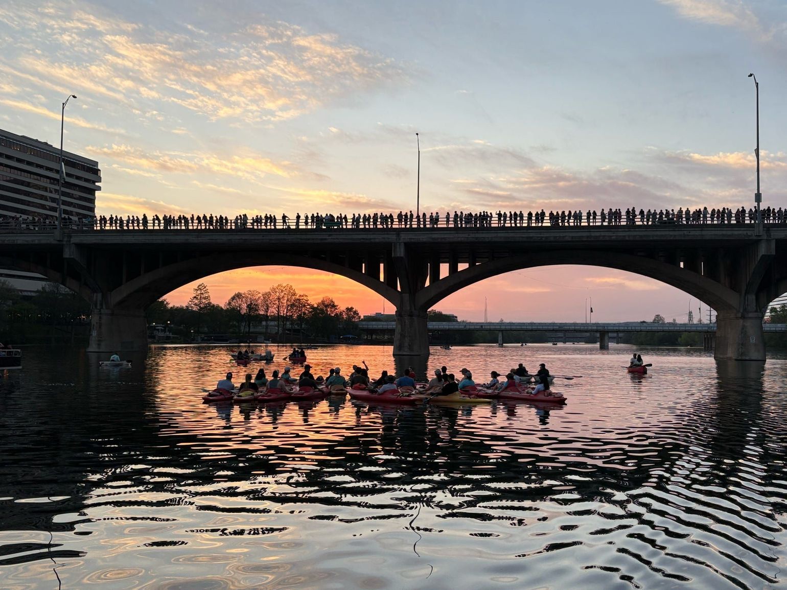 vleermuizen vanop de boot