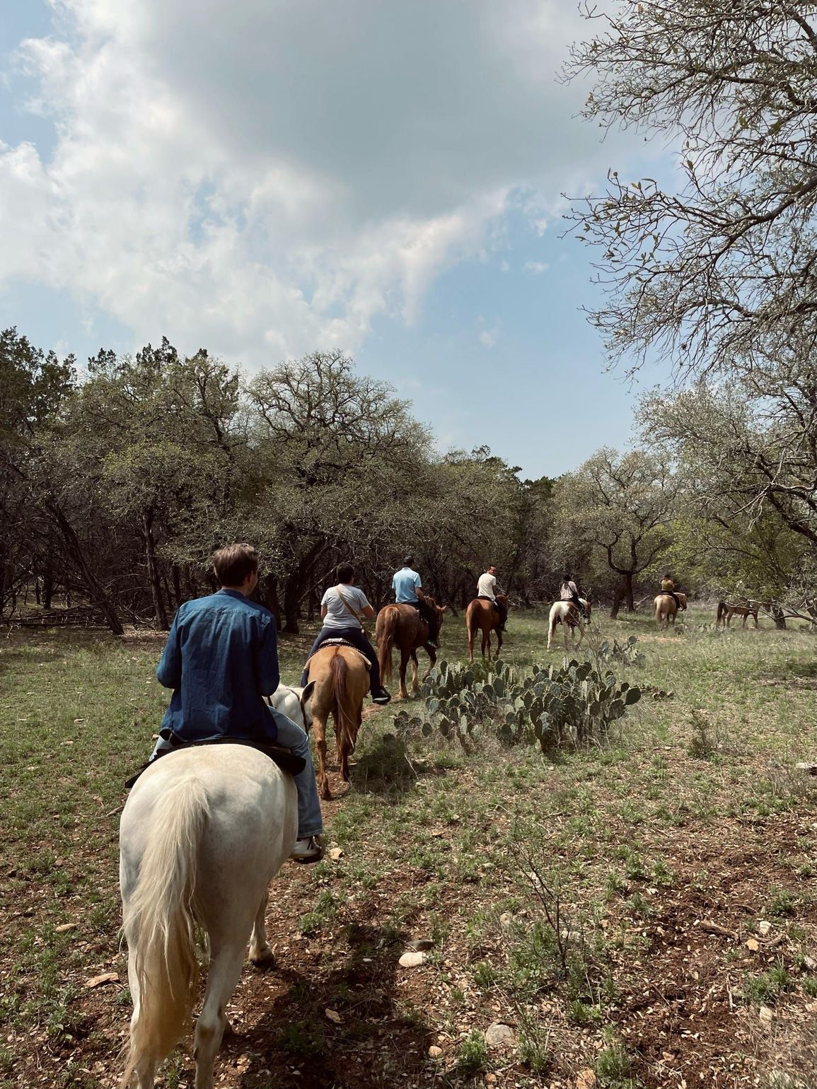 paardrijden texas