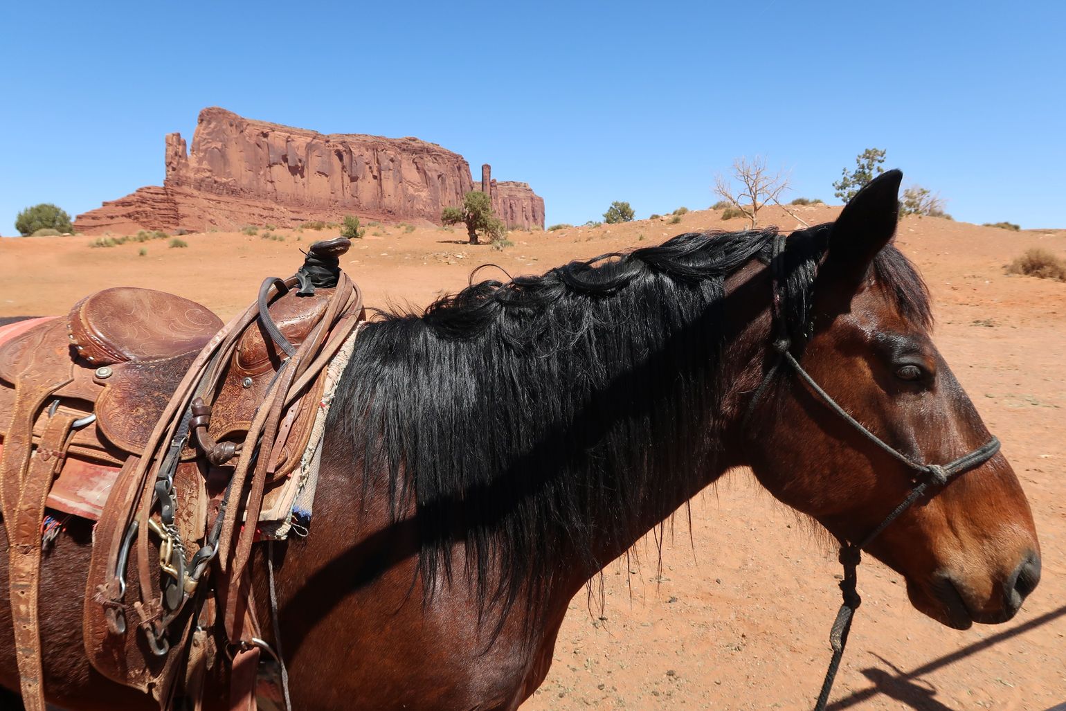 Paardrijden in Monument Valley