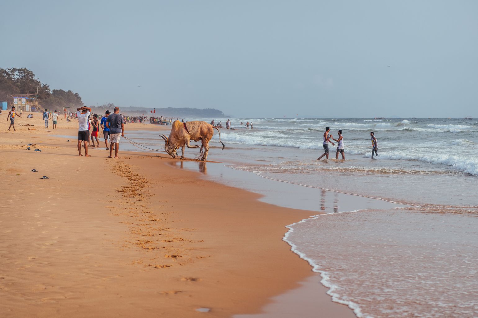 strand in goa, india