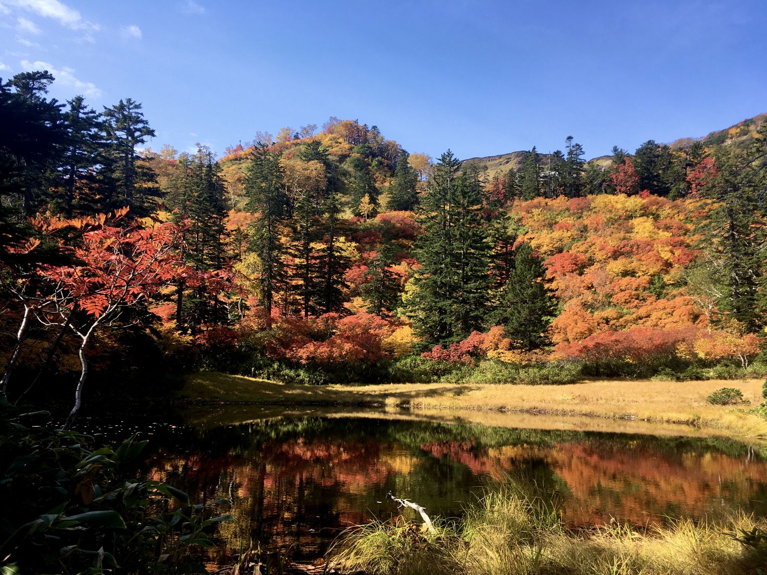 Japan Hokkaido Daisetsuzan NP Herfst