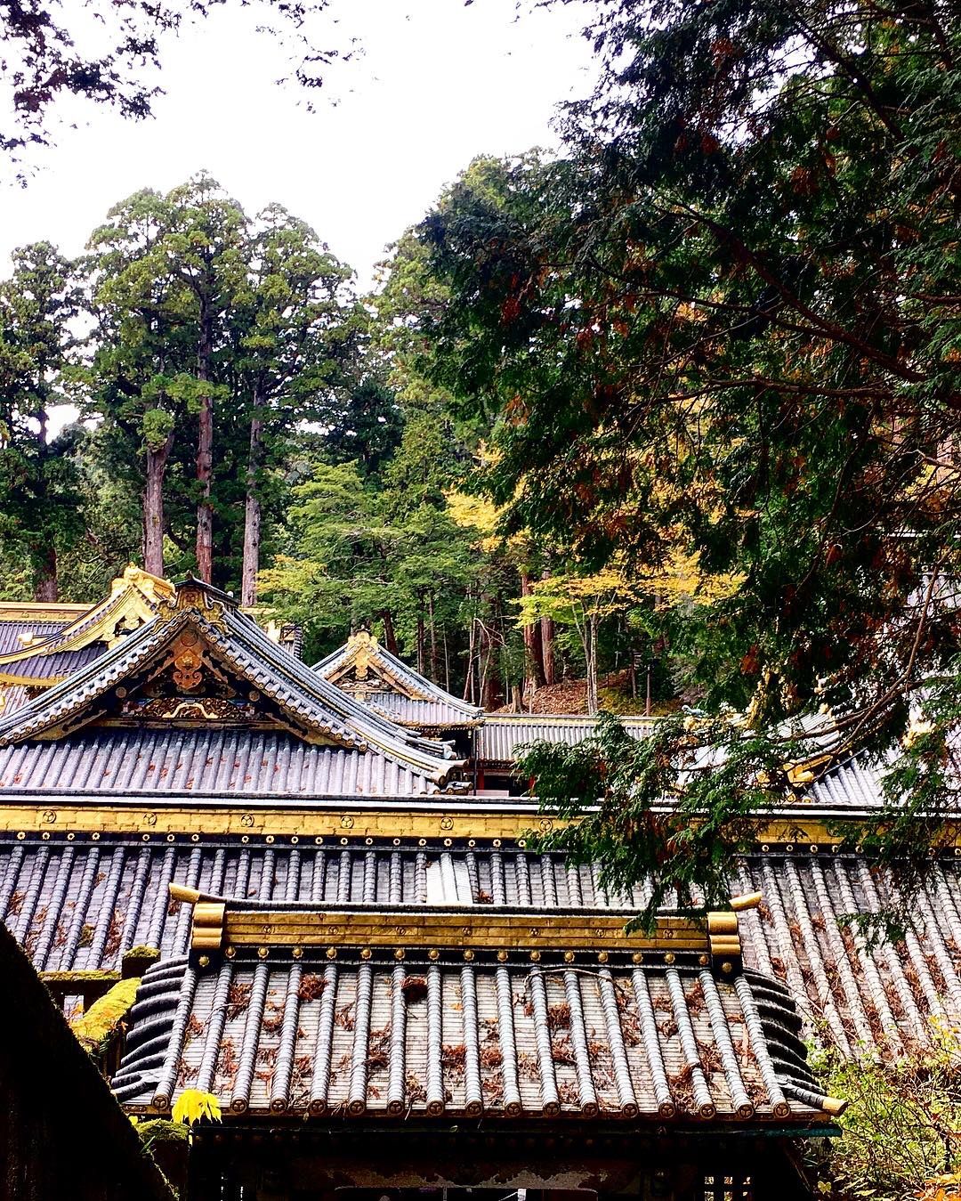 Japan Nikko - Toshogu Shrine