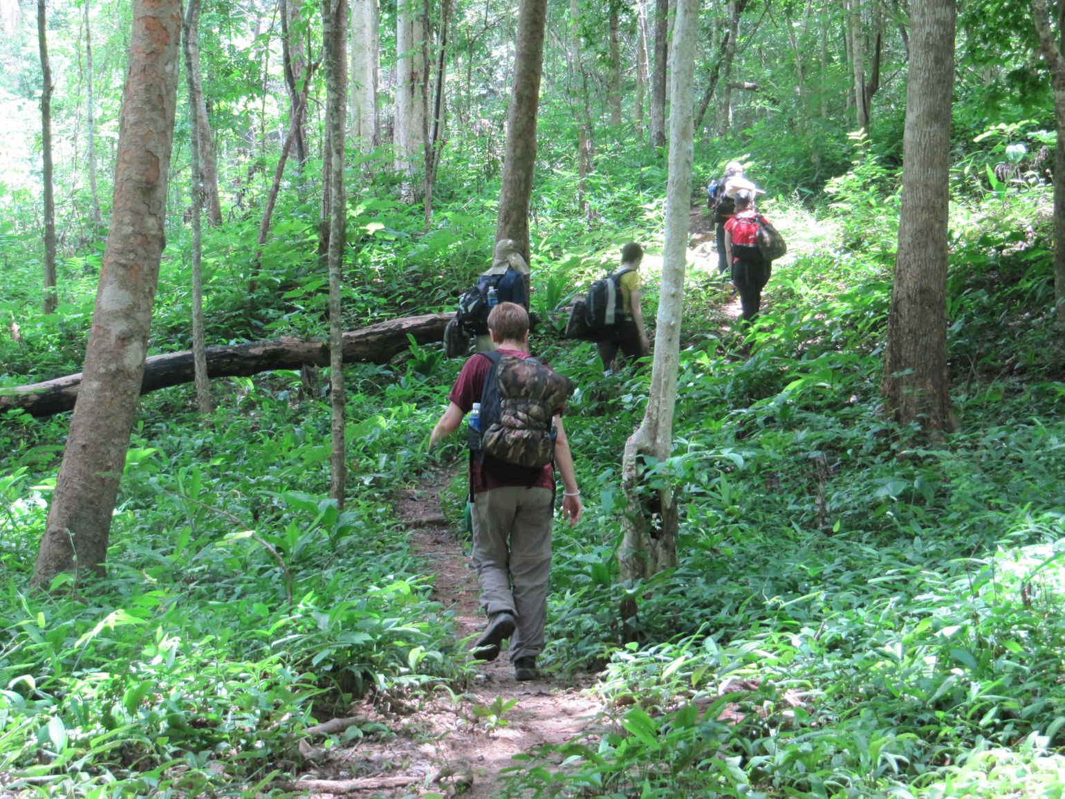 Trekking in de jungle