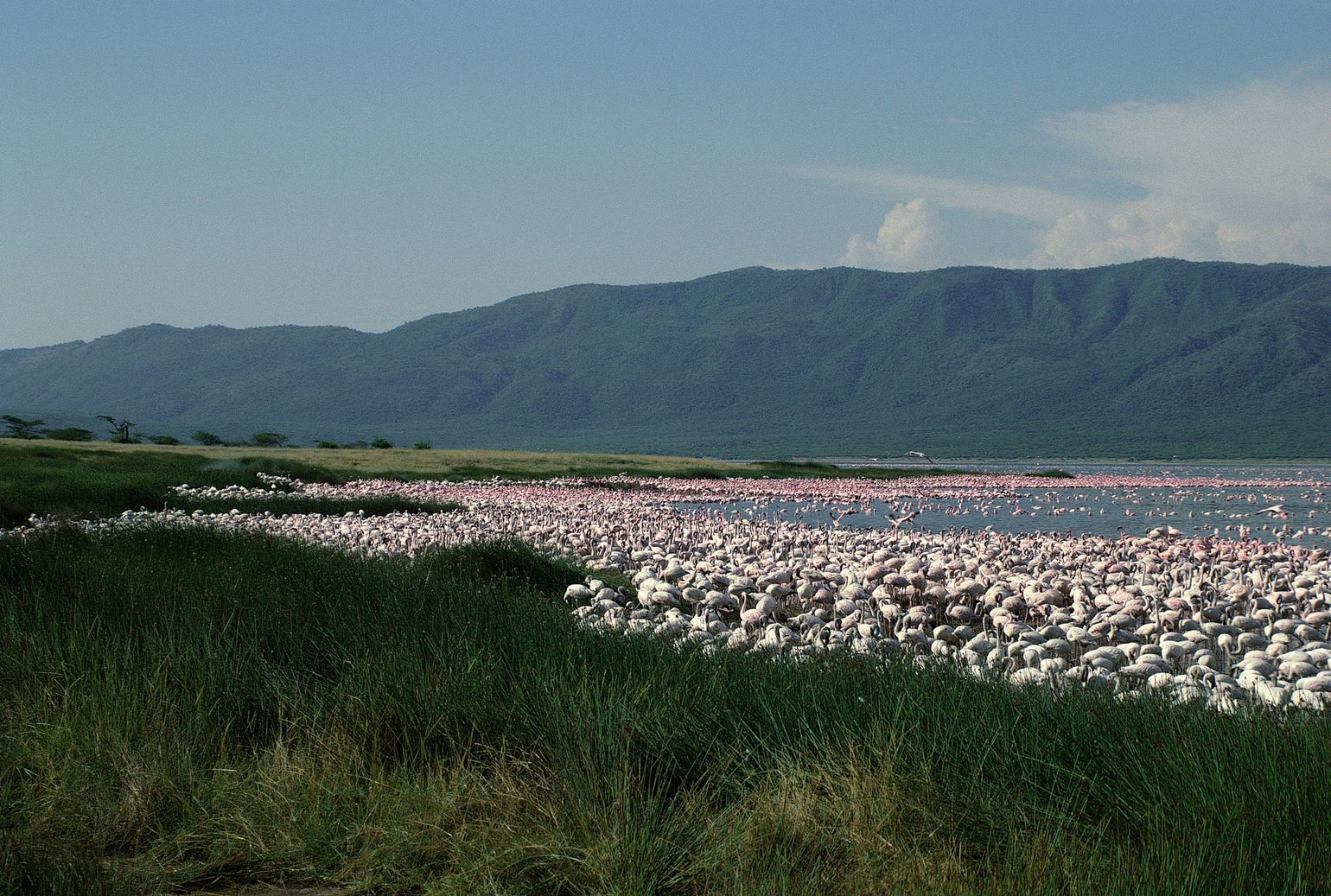 Lake Manyara National Park Tanzania