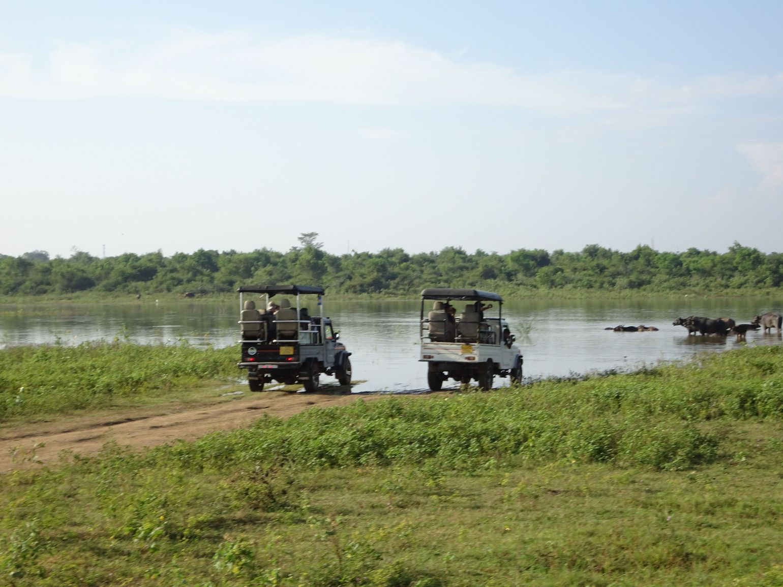 Safari Sri Lanka Udawalawe National Park