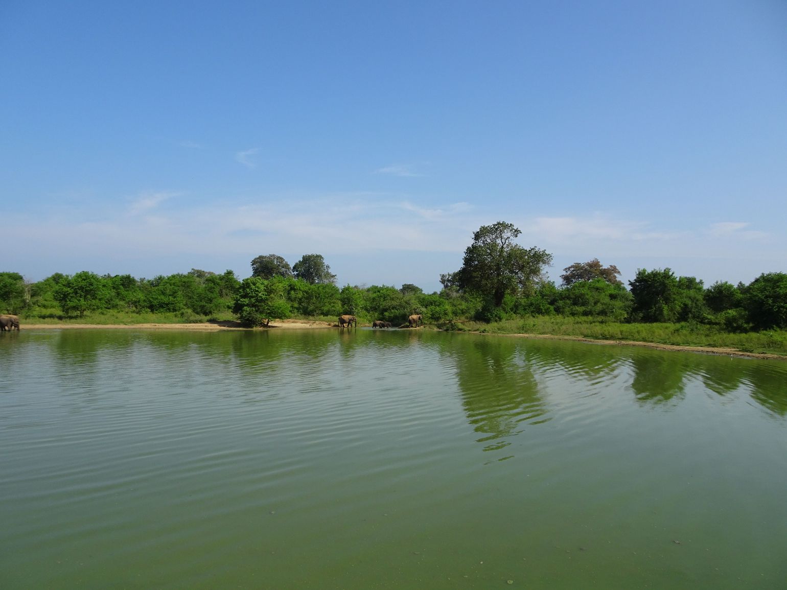 Safari Sri Lanka Udawalawe National Park