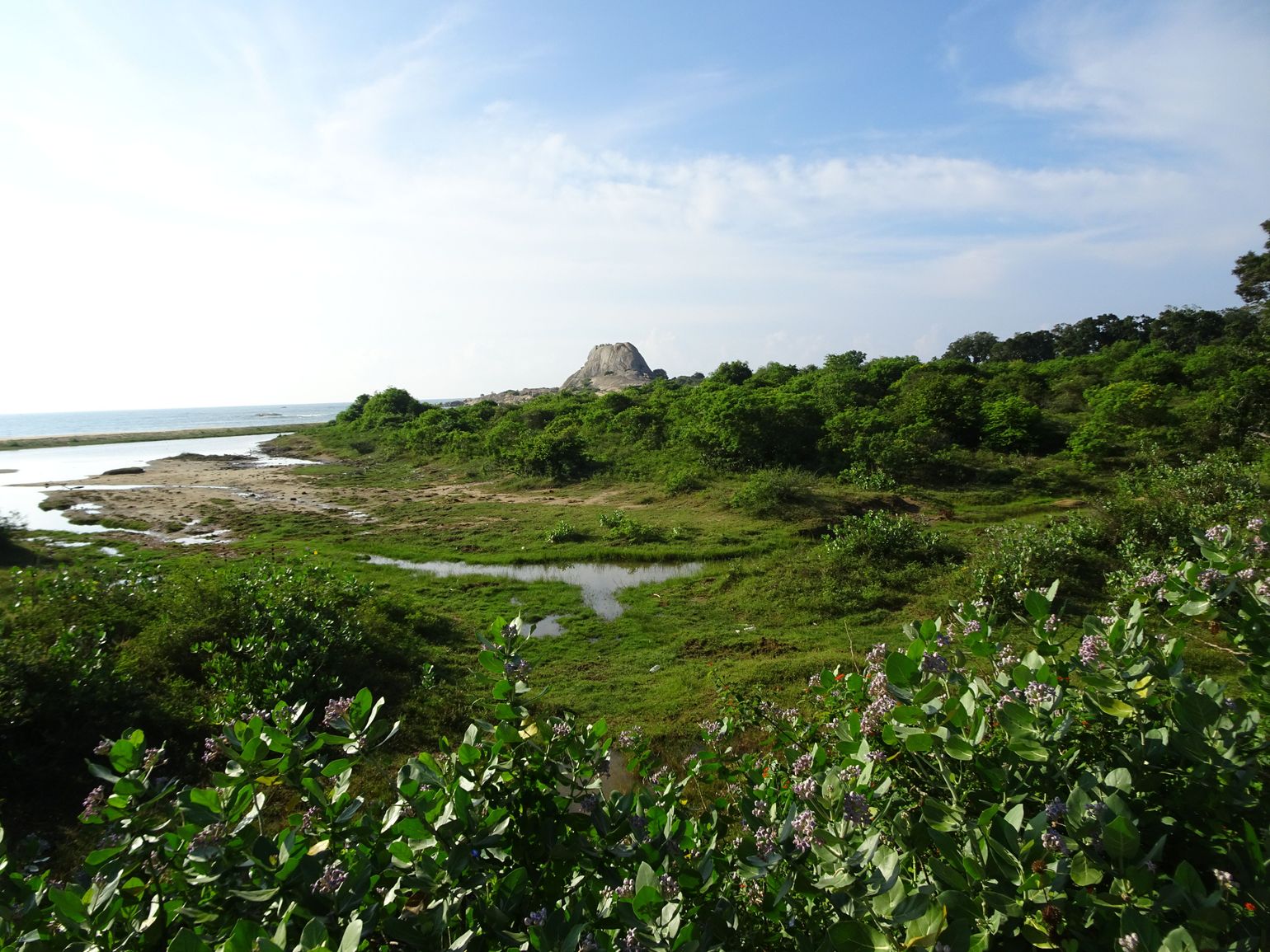 Safari Sri Lanka Yala National Park