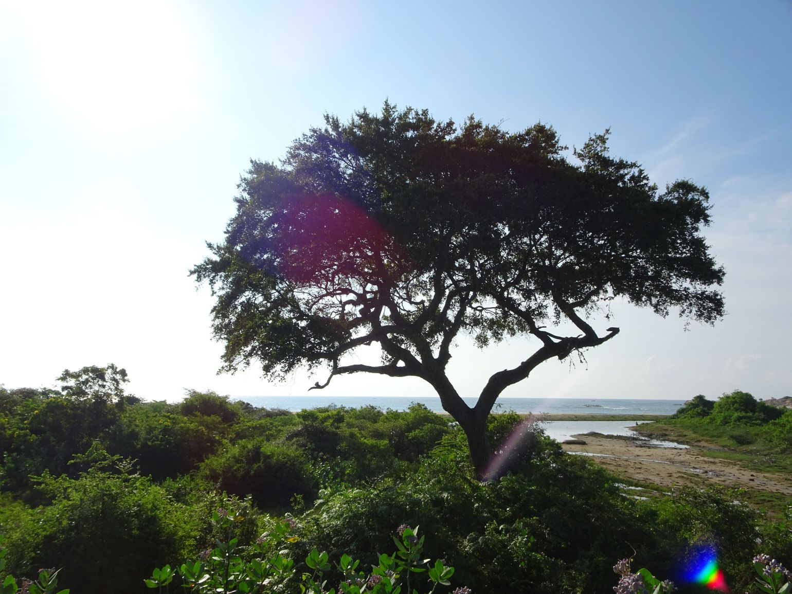 Safari Sri Lanka Yala National Park