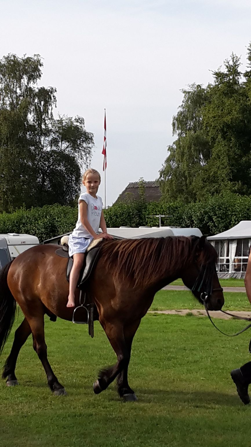 Kamperen met de camper of campervan in Denemarken - camping Mons Klint