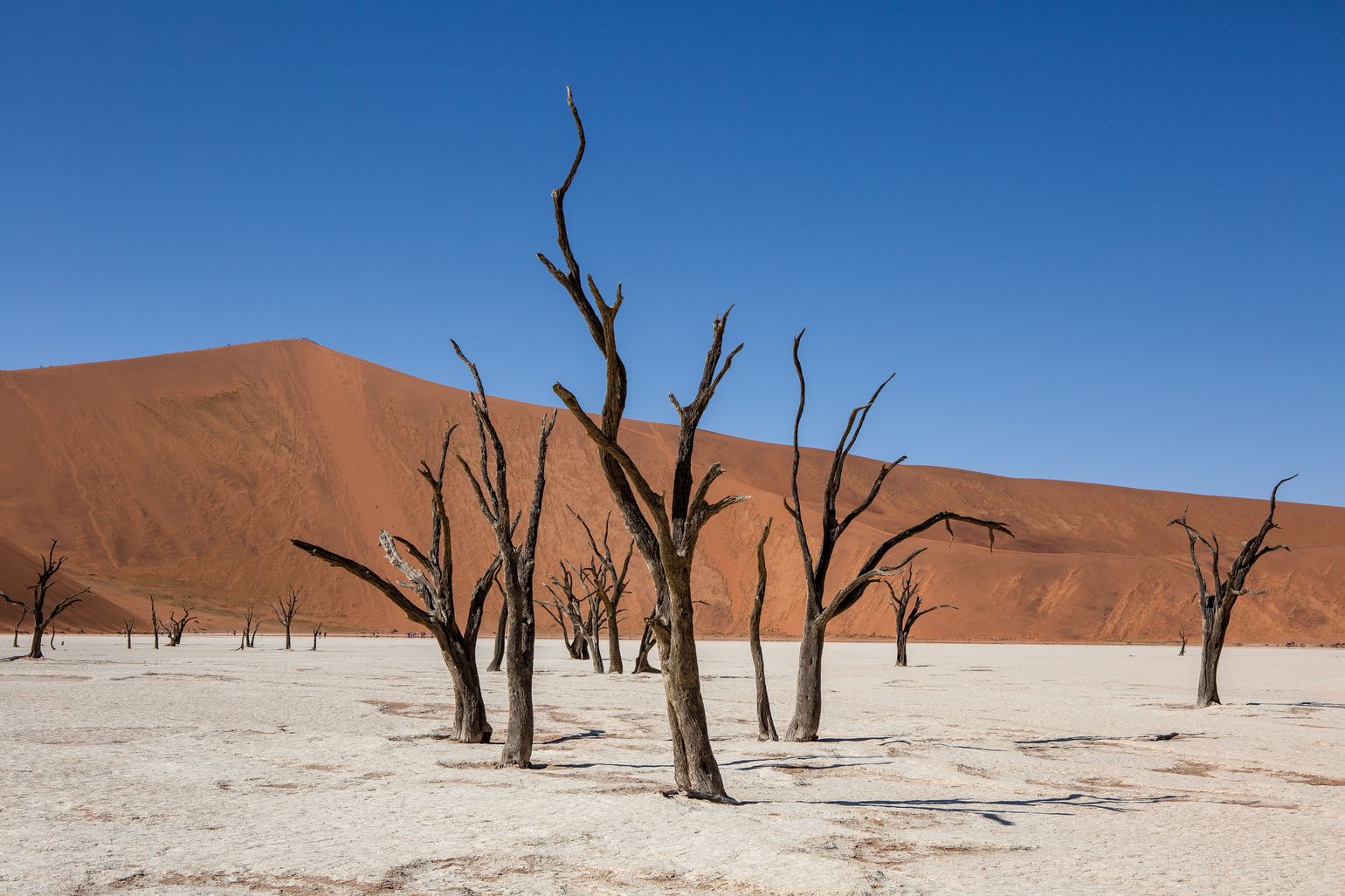 Sossusvlei in Namibië