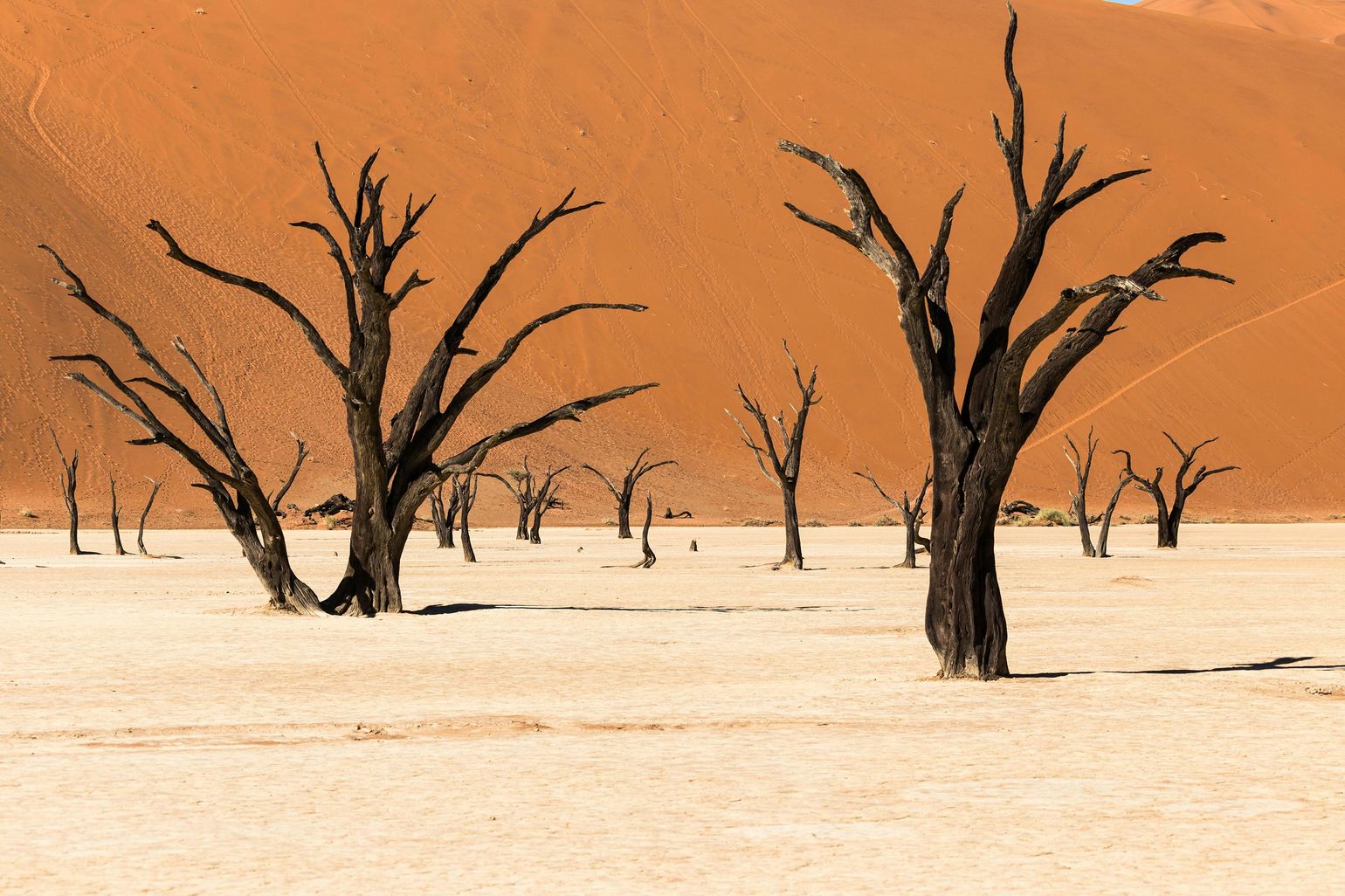 deadvlei namibie