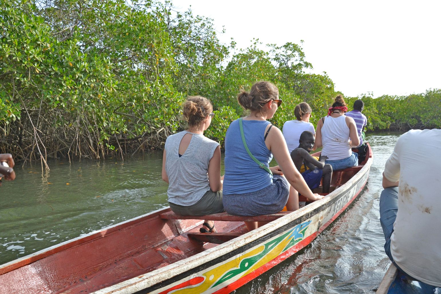 senegal mangrove