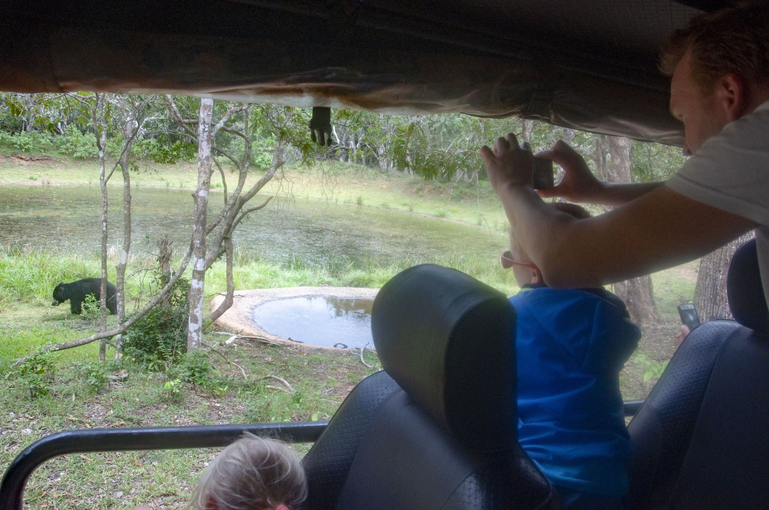 Wilpattu jeep, safari Sri Lanka 
