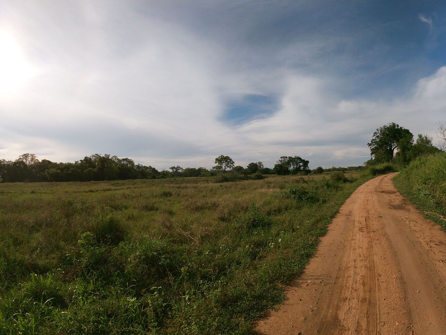 Wilpattu savanne, safari Sri Lanka 