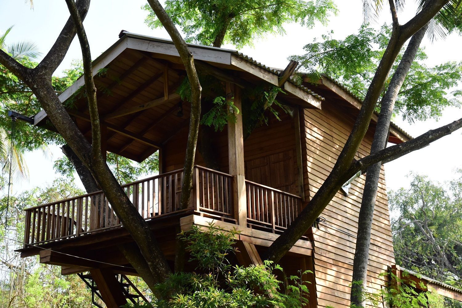 Sri Lanka Boomhut Wilpattu