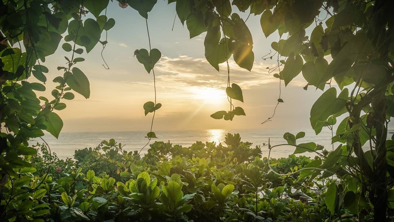 Sri Lanka Arugam Bay Surfing hotel beach