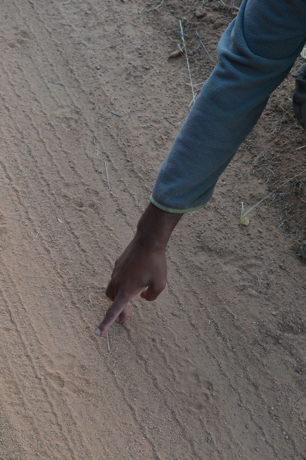 reis Zuid-Afrika safari wildlife voetsporen luipaard