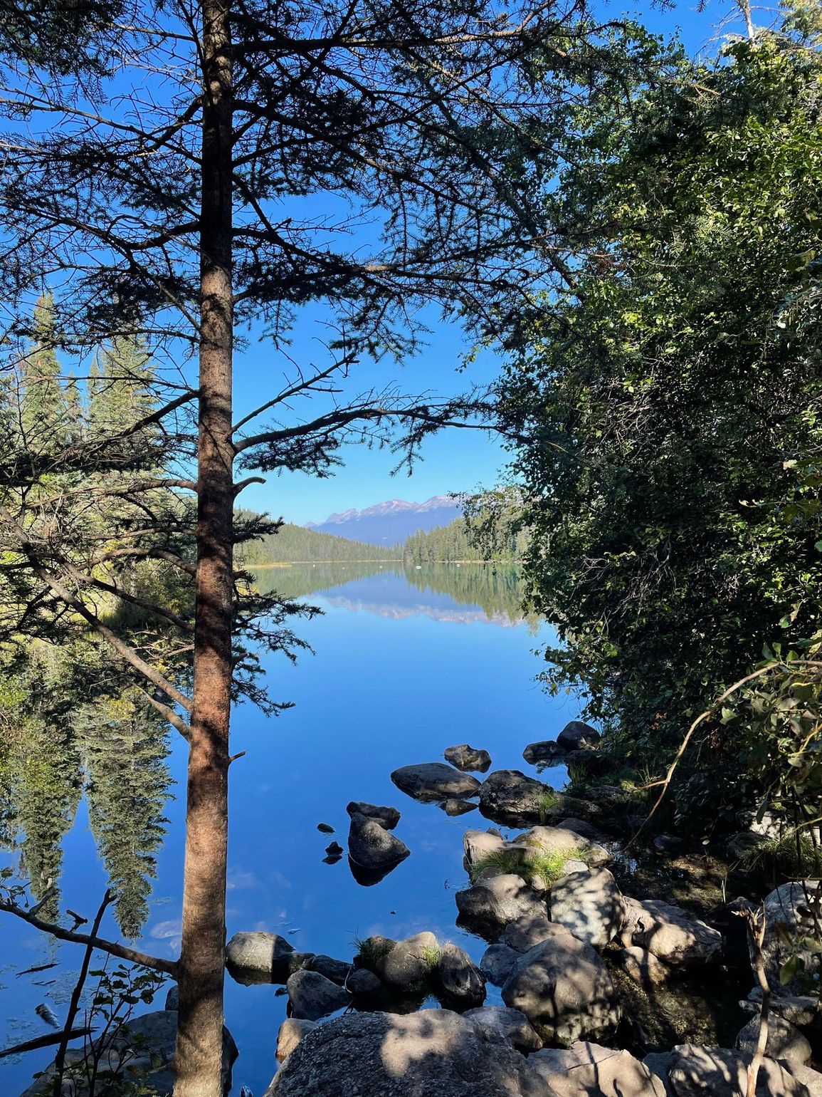 Camper Canada Jasper