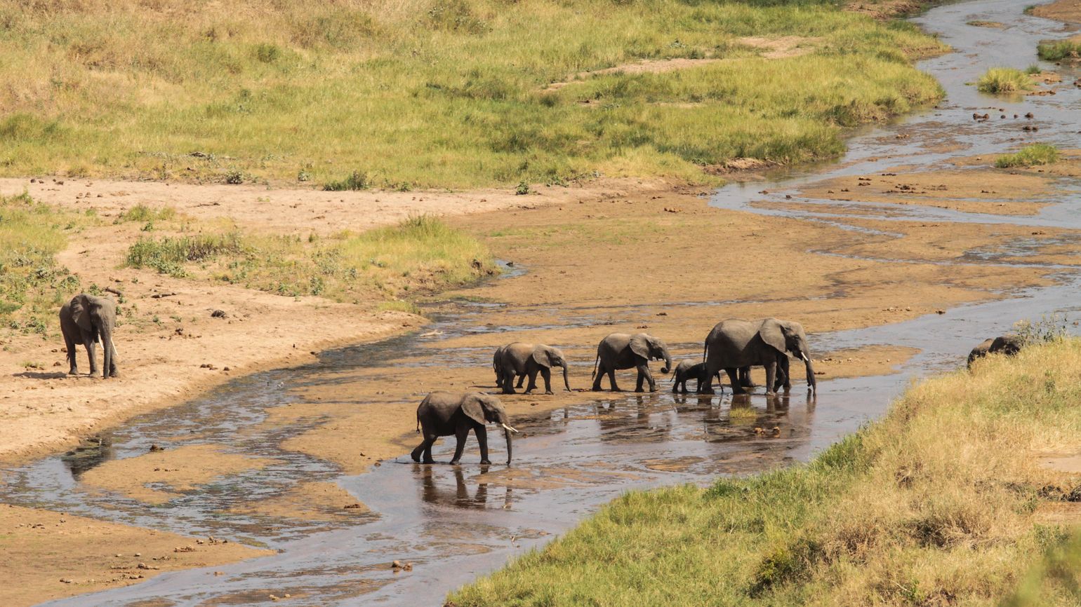 Tarangire national park tanzania