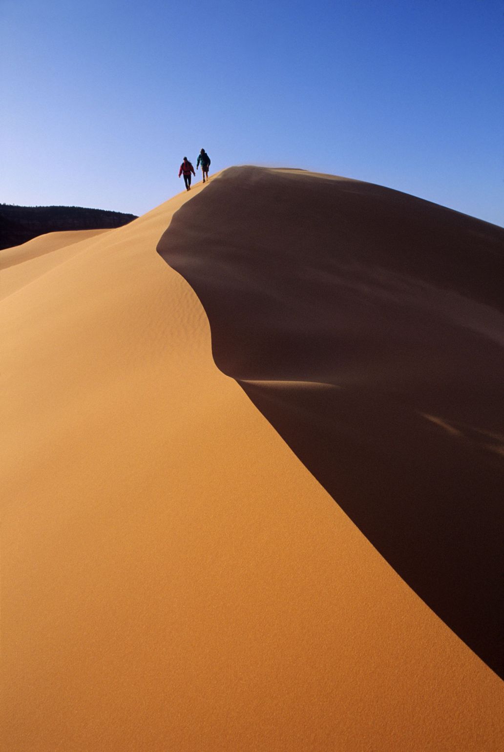 Coral Pink Sand Dunes