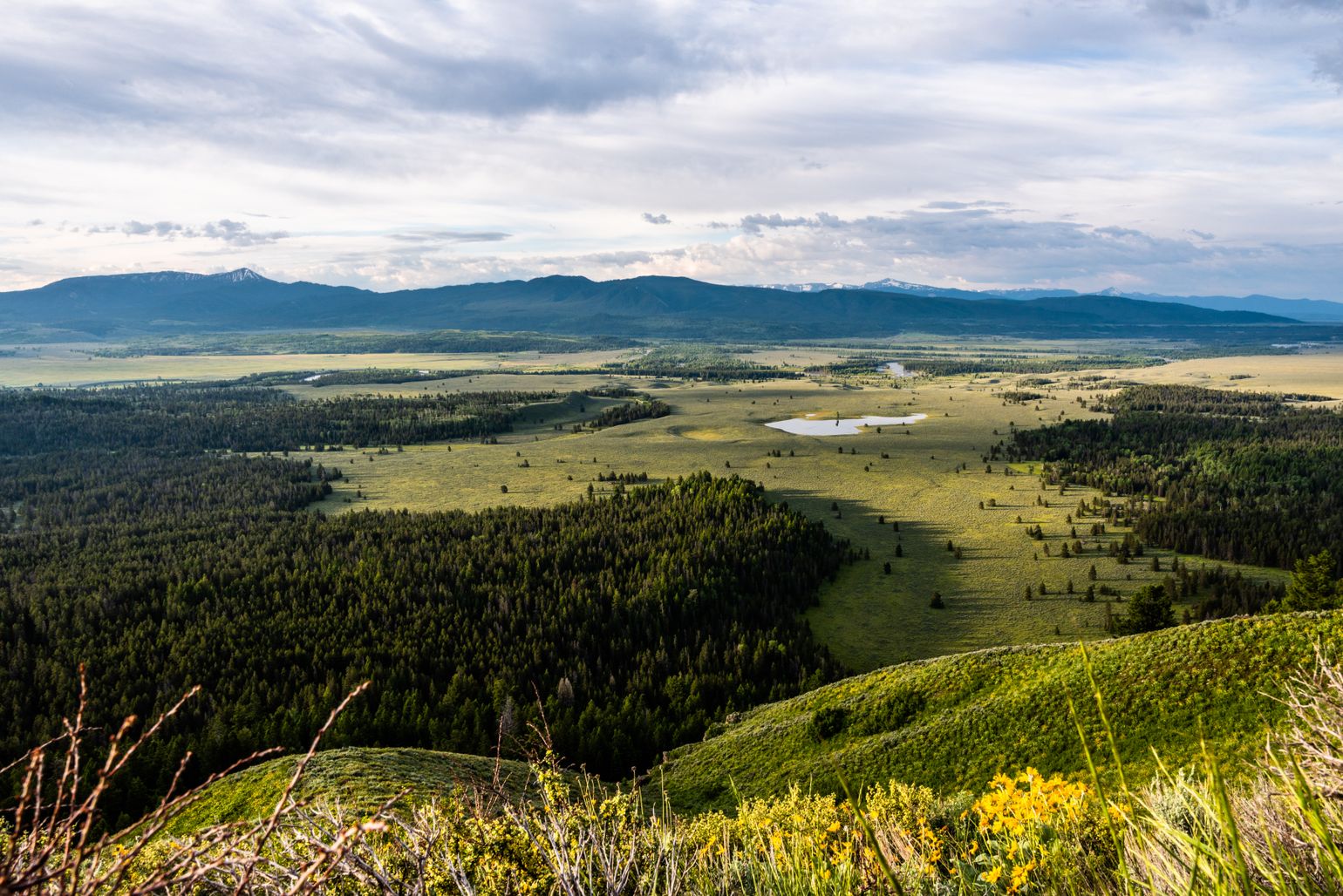 Little Big Horn Battlefield