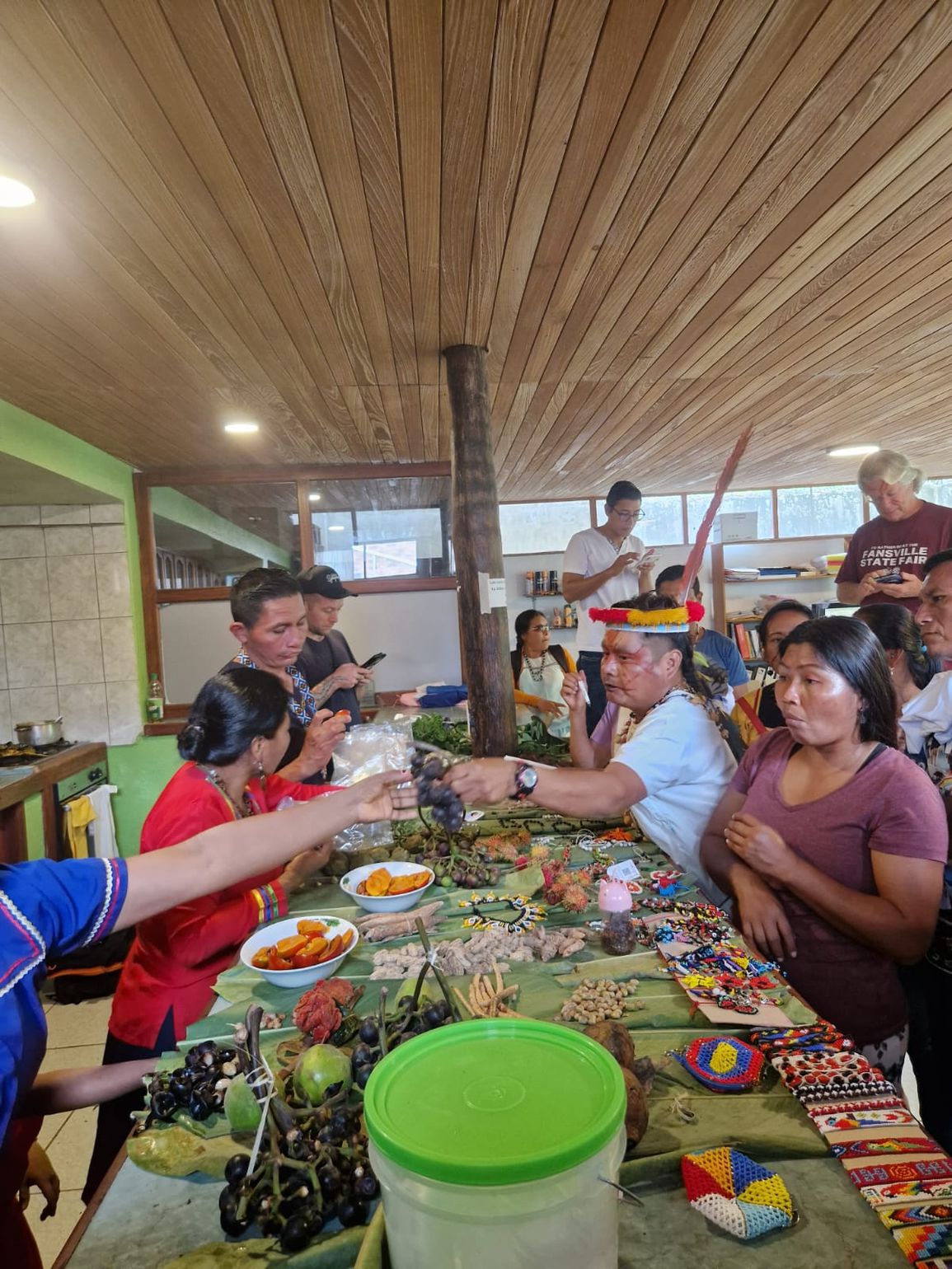 Ecuador project regenwoud