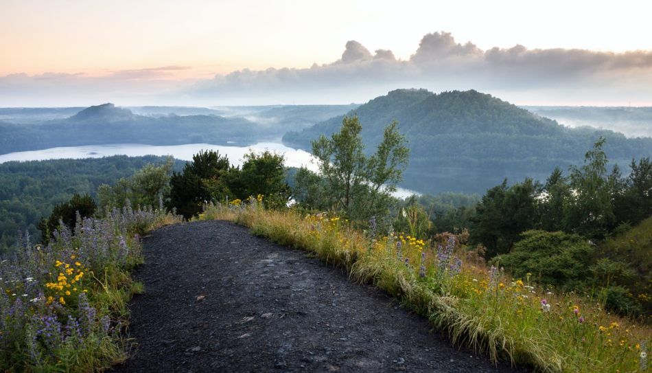 nationaal park hoge kempen